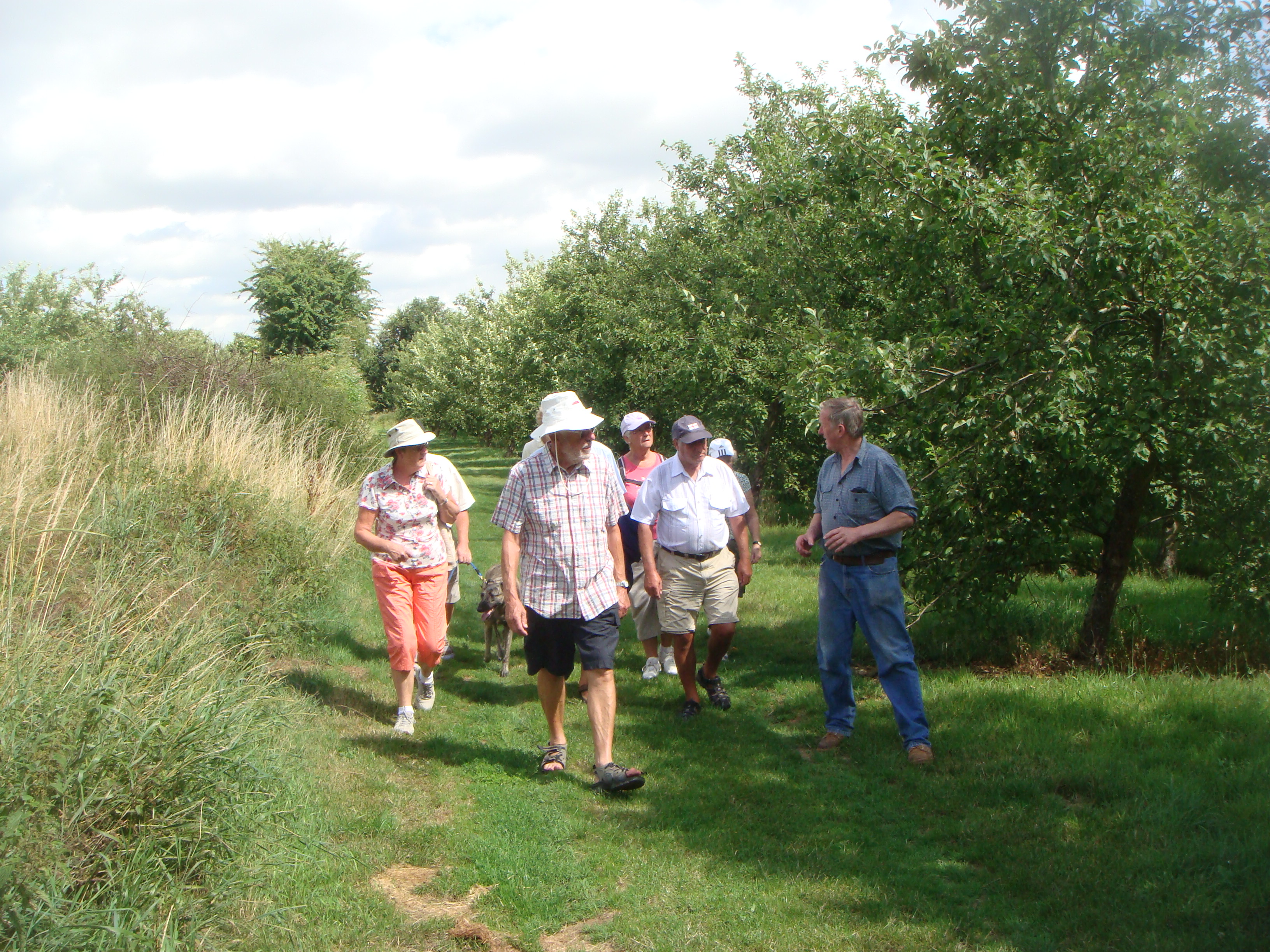 Orchard Tour